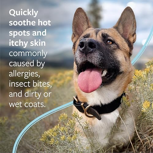 Veterinary Formula Clinical Care Hot Spot & Itch Shampoo, 16 oz, 2-Pack