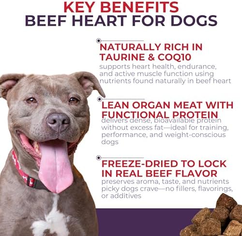 Momentum Carnivore Nutrition Freeze-Dried Beef Heart Dog Treats & Cat Treats – Single-Ingredient, High-Protein, Grain-Free – Made in USA – 3 oz Bag (Pack of 2)