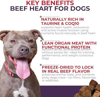 Momentum Carnivore Nutrition Freeze-Dried Beef Heart Dog Treats & Cat Treats – Single-Ingredient, High-Protein, Grain-Free – Made in USA – 3 oz Bag (Pack of 2)