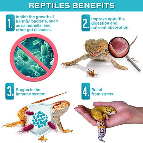 Gargeer 2oz All Reptile Probiotics. Improved Appetite & Digestion. USA Made