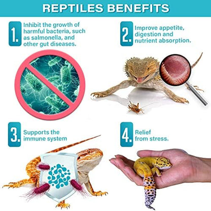 Gargeer 2oz All Reptile Probiotics. Improved Appetite & Digestion. USA Made