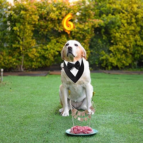 ADOGGYGO Dog Tuxedo Bandana, Wedding Birthday Dog Bow Tie, Black, X-Small