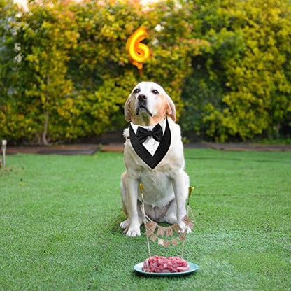 ADOGGYGO Dog Tuxedo Bandana, Wedding Birthday Dog Bow Tie, Black, X-Small