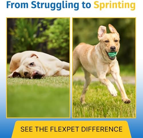 Hip & Joint Supplement for Dogs & Cats with Cetyl Myristoleate, Glucosamine, Collagen, MSM - Advanced Joint Support for Mobility, Senior Pets, Small & Large Breeds - 60 Tablets (Pork Liver)