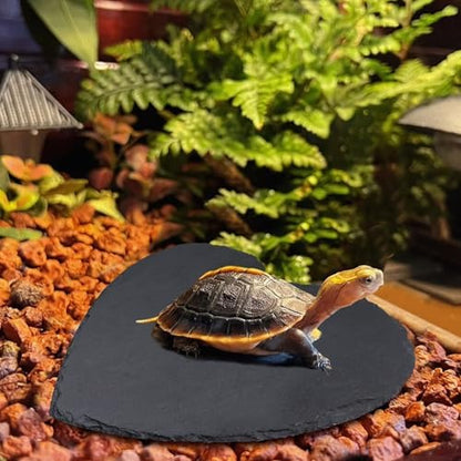 Reptile Basking Platform, 12 × 12 inch Tortoise Rock Plate, Heart Shape Natural Rock Reptile Food Dish, Turtle Feeding Bowl, Habitat Decor for Bearded Dragon Chameleon Frog Lizard Gecko Hermit Crab