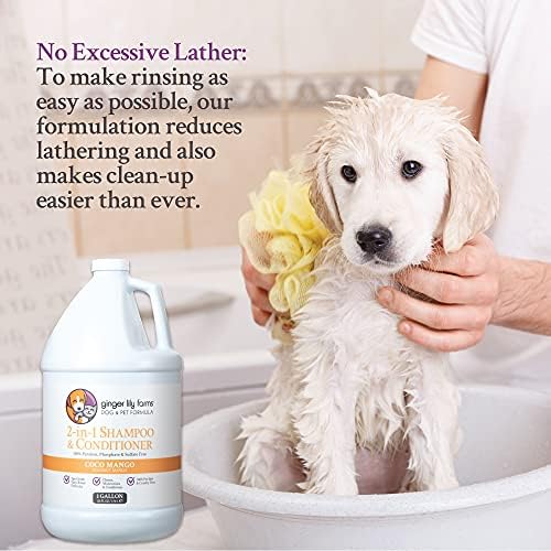 Ginger Lily Farms 1 gal Formula 2-in-1 Shampoo & Conditioner, Coco Mango