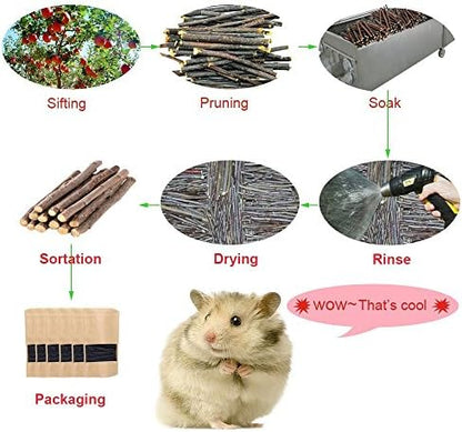 sharllen 300g(10.5oz) Apple Sticks (About 90 Sticks) Pet Chew Toys for Rabbits Chinchilla Guinea Pigs by