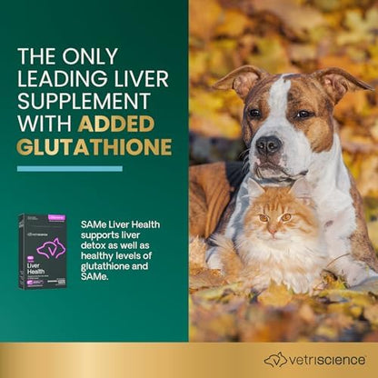 VetriScience Same Liver Health Tablets for Cats and Dogs, 30 Count