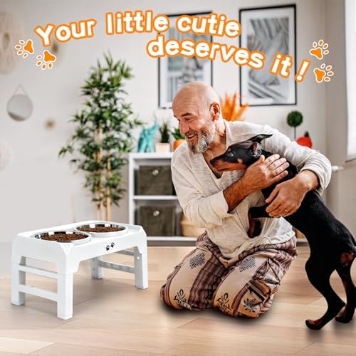 COMESOON Elevated Dog Bowls, 4 Height Adjustable Raised Bowl Stand with 2 Thick 50oz Stainless Steel Food Bowls Non-Slip Feeder Adjusts to 3.7'', 9.2'', 10.75'', 12.36'' White