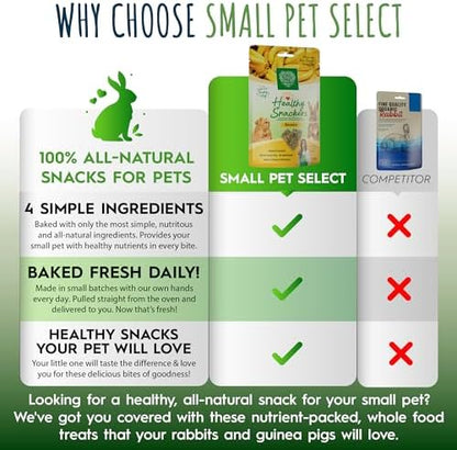 Small Pet Select - Healthy Snackers - Banana
