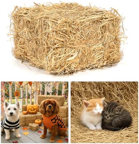 Natural Wheat Straw –1 LB Hay Bales for Decoration, Clean Dry Straw Bale