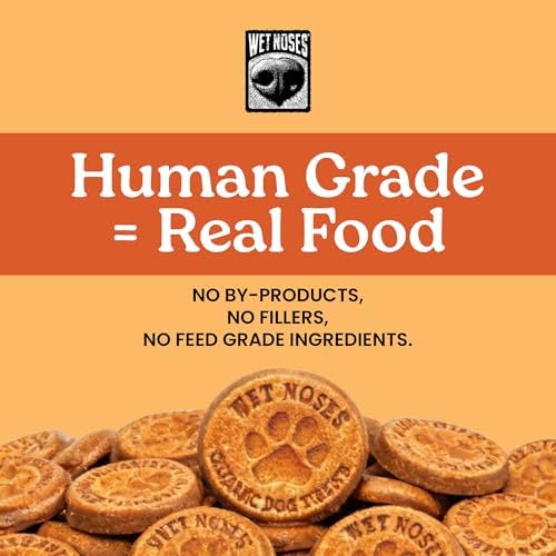 Wet Noses Organic Crunchy Dog Treats Grain Free – All-Natural, Human-Grade, Non-GMO, Healthy Training & Delicious Snacks for Dogs, for All Dog Sizes & Breeds – Pumpkin & Quinoa, 14oz (Single Pack)