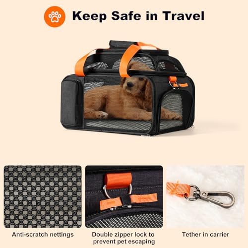 pidipiti 17x12.5x8.5 Soft-Sided pet Carrier,for Extra-Small Dog/Medium cat