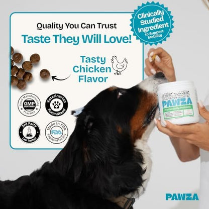 Precise Daily Probiotic for Dogs – Soft Chews with Pumpkin, Papaya & 6-Strain Probiotic Blend – Digestive, Gut & Immune Health Support – 120 Chews, Chicken Flavor