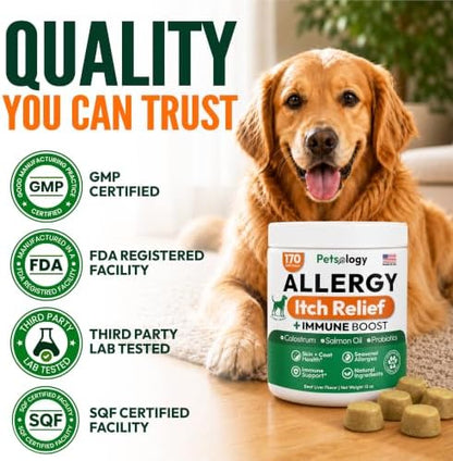 Dog Allergy Relief Chews 170 Count Anti Itch Skin & Immune Support for Dogs