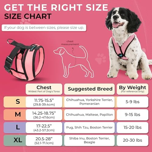 Gooby Comfort X Head-in Dog Harness, Choke-Free, Pink, Medium
