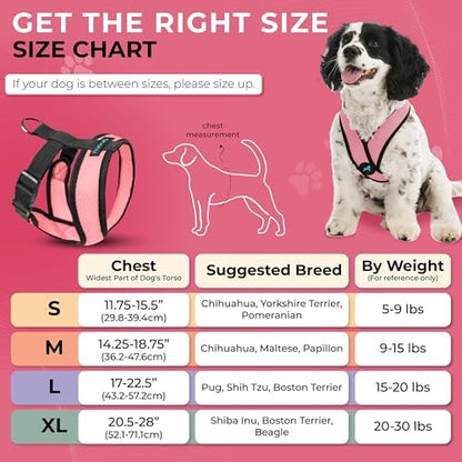 Gooby Comfort X Head-in Dog Harness, Choke-Free, Pink, Medium