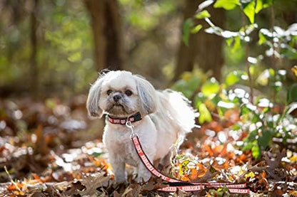 NCAA PET String, Large, Nebraska Cornhuskers, Dog String, Shiny & Colorful String for Dogs & Cats Licensed by The NCAA, Old Version