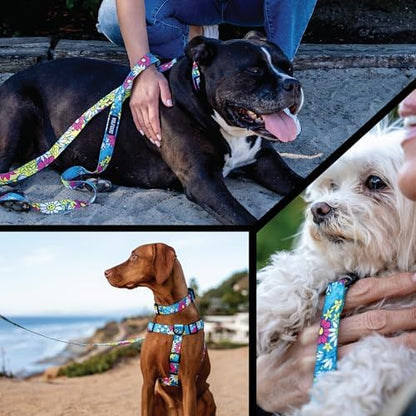 Wolfgang 1 Inch Venture Dog Leash Lazydaisy Print Large