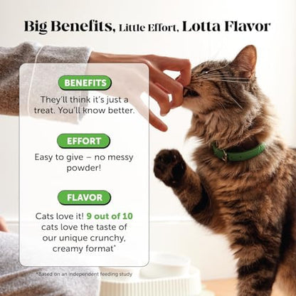 Pet Honesty Vet Recommended Cat Urinary Supplement Crunchy Chews, 30ct