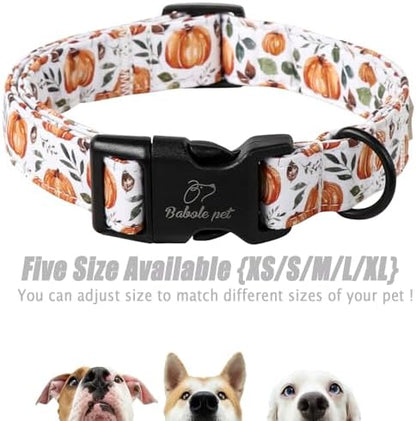 Fall Dog Collar, Cute Orange Pumpkin Pattern Puppy Collar M
