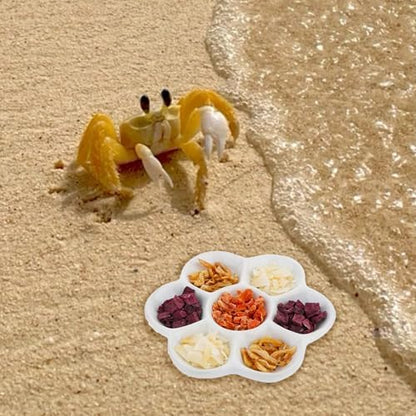 3.5" Hermit Crab Ceramic Food Dish,7 Compartments Ceramic Anti-turning Food & Water Bowl for Hermit Crab Tarantula Snail