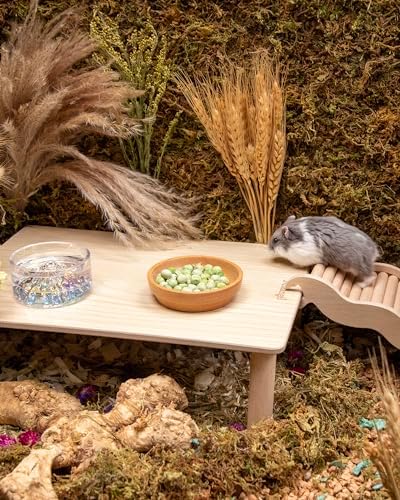 Niteangel Hamster Snack & Treats Toy - Freeze-Dried Pea & No Additive