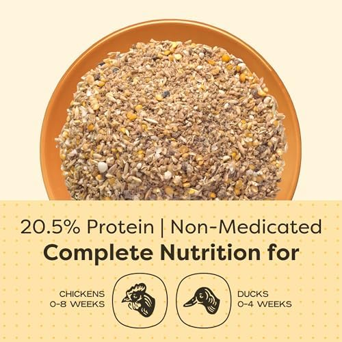 Scratch and Peck Feeds | Starter Mash for Chickens & Ducks | 50 lb Bag