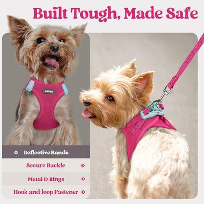rabbitgoo Dog Harness Medium Sized and Leash Set, Step-in Puppy Pet Vest