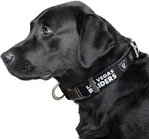Littlearth NFL Detroit Lions Pet Premium Collar, Team Color, Small