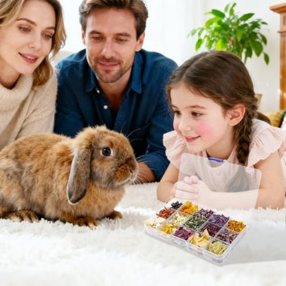 Bunny Treats, Treat Box with 15 Kind of Snacks for Rabbit, Hamster, Chinchilla, Guinea Pig and Other Small Pets, Chinchilla Treats, Guinea Pig Treat