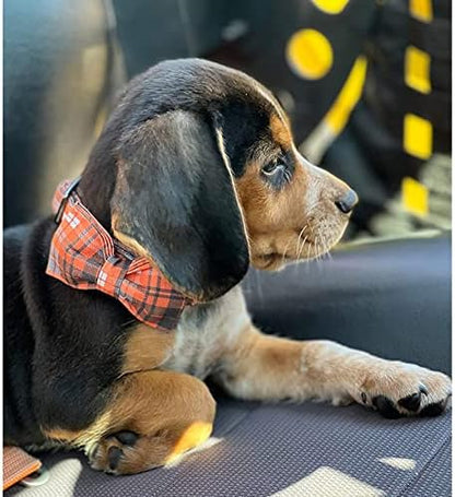 Lionheart glory Halloween Holiday Dog Collar Adjustable Soft Dog Collar with Bowtie, Pet Gift Dog Collars Bow for Small Medium Large Dogs