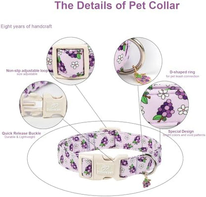 Summer Dog Collar Cute Grape Dog Collars for Medium Dogs - Lightweight Adjustable Purple Puppy Collar Boy Girl Fall Dog Collar with Quick Release Buckle M