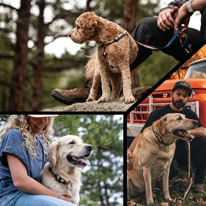 Wolfgang Heavy Duty Adjustable Dog Harness, Pull-Tested to Over 800 lbs for Walking & Training, Overland Print, Extra Large
