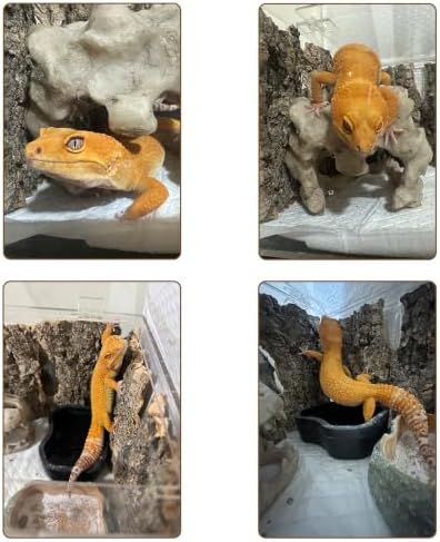 Reptiles Cork Bark Bits Substrate,1 LB Terrarium Bark Bedding Bulk for Geckos Snake Isopods Bearded Dragon Spiders Lizard Tarantula Hermit Crabs