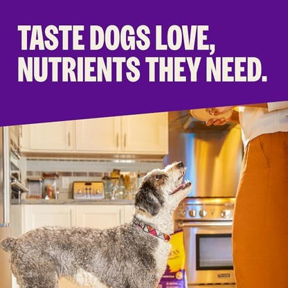 Wellness Complete Health Adult Dry Dog Food, Wholesome Grain Kibble, Natural, Lamb and Barley Recipe, 5 lb Bag
