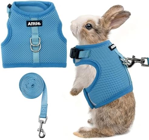 AIITLE Adjustable Rabbit and Leash Set - Lightweight & Portable, Padded Vest with Magic Tape Design, Indoor/Outdoor Use - Fits Hamsters, Rats, Iguanas, Puppies, Cats, Blue M