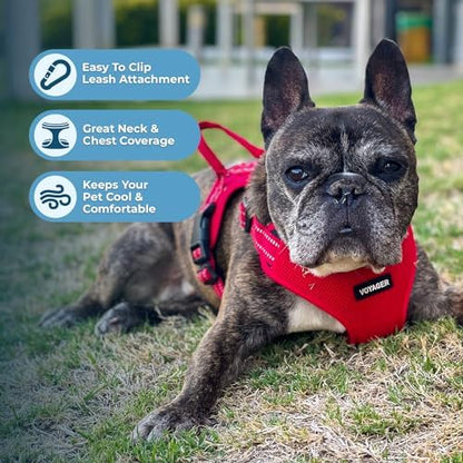 Voyager Step-in Flex Adjustable Dog Harness - Red, Small