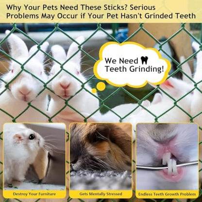 2000g Organic Apple Sticks Small Animals Teeth Grinding Chew Toy