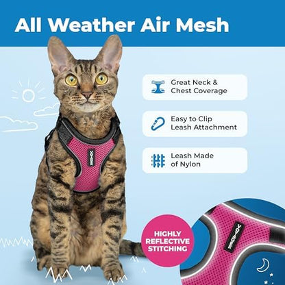 Voyager Escape-Proof Step-in Lock Cat Harness & 5ft Neoprene-Handle Leash Set All-Weather Mesh with Reflective Stitching for Small to Large Cats by Best Pet Supplies, Black Trim-Fuchsia (327), XXS
