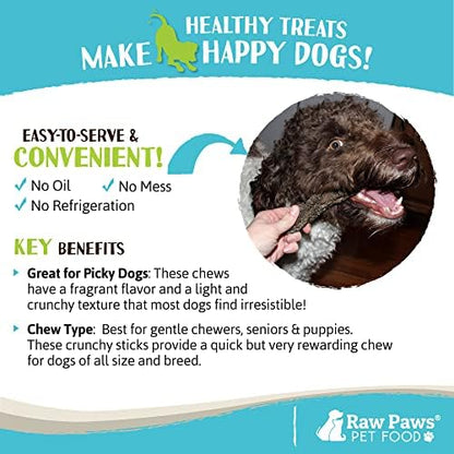 Raw Paws Green Beef Tripe Sticks for Dogs, 6-Inch (5-Count) - Dehydrated