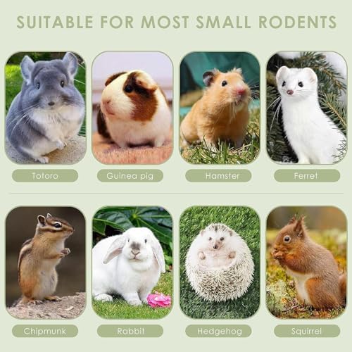 ERKOON Timothy Hay Sticks,Rabbit Chew Toys for Teeth Natural Molar Sticks Rabbits Treats for Bunnies, Chinchilla Guinea Pigs, Gerbil, Hamster (50 Pcs)