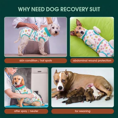 Kuoser Dog Recovery Suit, Female Male Spay Neuter Surgery Suit, Elephant, S