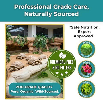 Sulcata Tortoise Calcium & Multivitamin Powder - Herpetologist Formulated Vitamin and Mineral Powder for Reptiles with High Fiber - 30 Day Supply in Shaker Bottle - Daily Nutrition for Strong Shell!