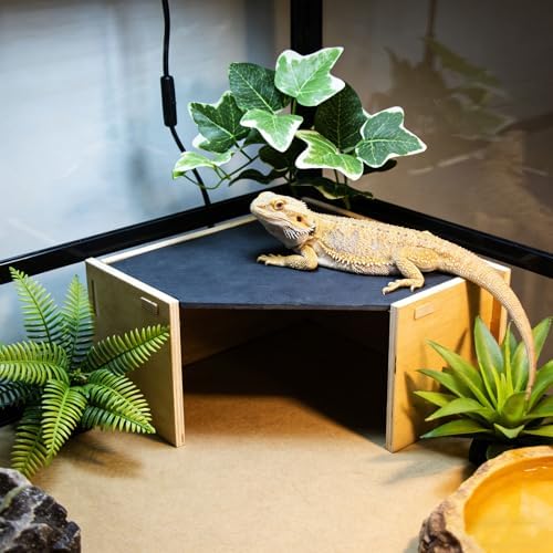 2-in-1 Bearded Dragon Basking Platform with Hideout, Slate Rocks for Reptiles with Base, Leopard Gecko Hides and Caves, Reptile Tank Accessories for Bearded Dragons, Geckos, Ball Pythons, Tortoise