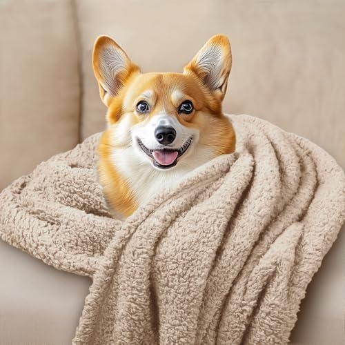 3 Pack 3 Calming Blankets Fluffy Premium Fleece Pet Blanket Soft Sherpa Throw for Dog Puppy Cat Beige Small (23" x16'')