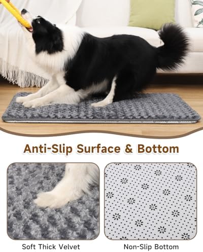 XXL Dog Bed for Crate Pad, High Resilience Foam Mat Bed, 47x29, Dark Grey