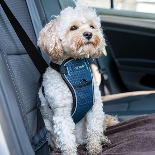 Carsafe Crash Tested Dog Harness Blue X Small