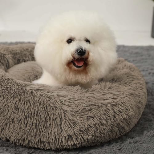 Hachikitty Calming Donut Cuddler Dog Beds, Medium & Large, 24''