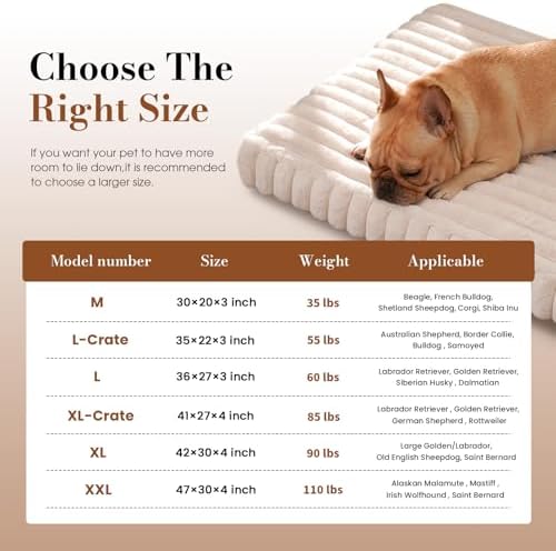 Medium Dog Bed Orthopedic Foam with Waterproof Lining